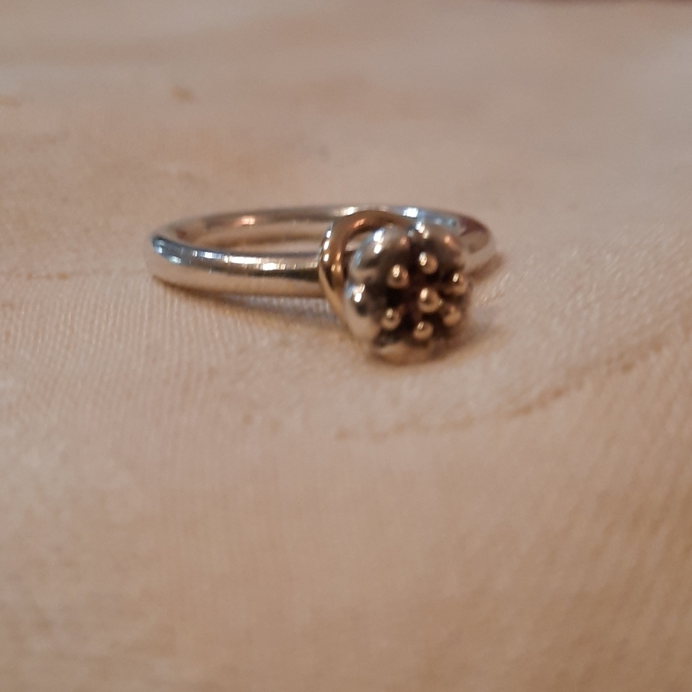 Vintage retired Panorama gold and silver ring
